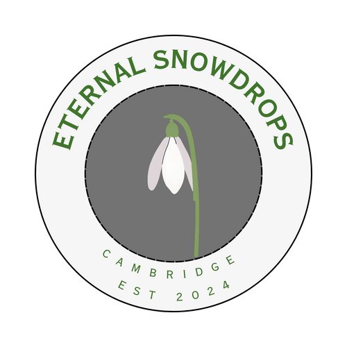 Eternal Snowdrops
