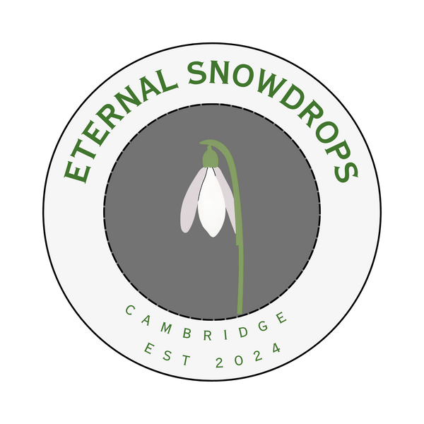 Eternal Snowdrops